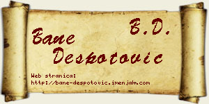 Bane Despotović vizit kartica